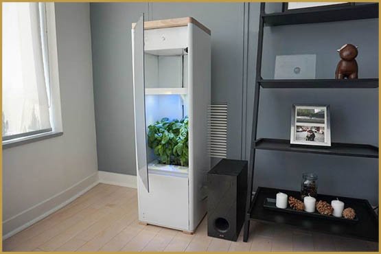 21 applications pour consommateurs de cannabis