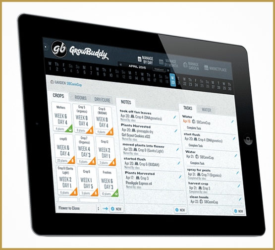 21 applications pour consommateurs de cannabis