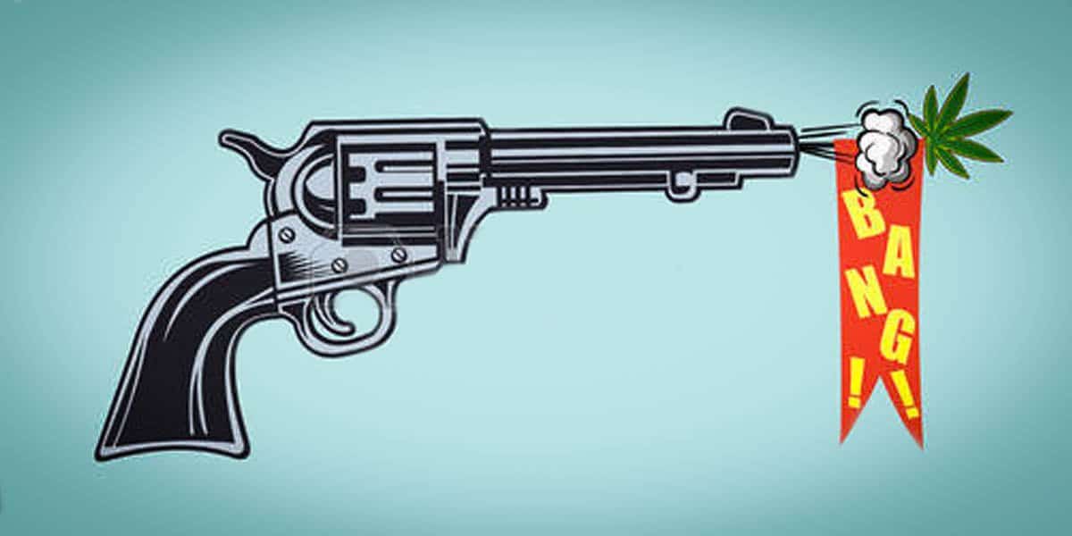 armes à feu cannabis le fédéral u.s persiste 5