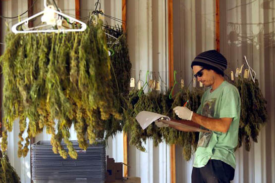 avantages amp limitations de la proposition 64 2