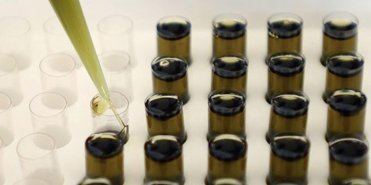 différences entre les produits cbd de chanvre de marijuana 9