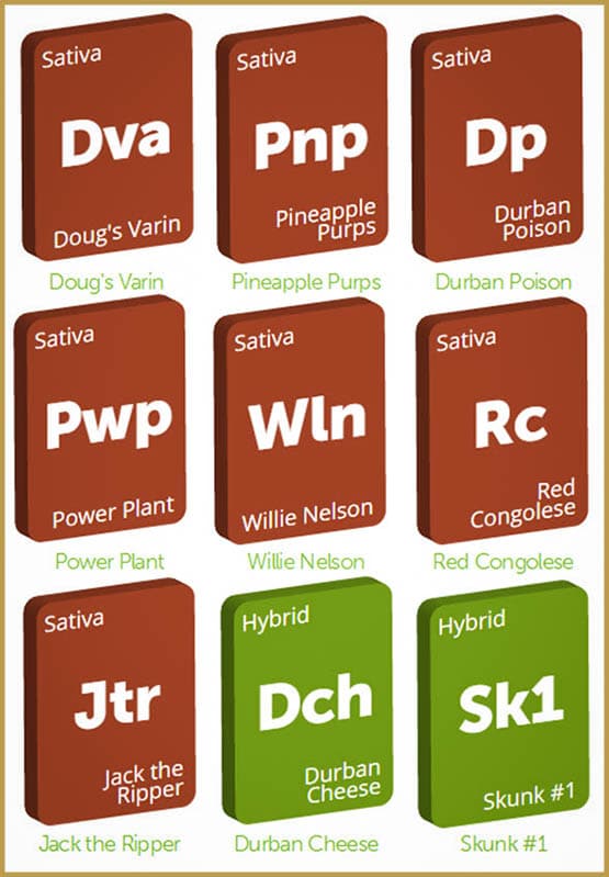 cannabis-riche-en-thcv