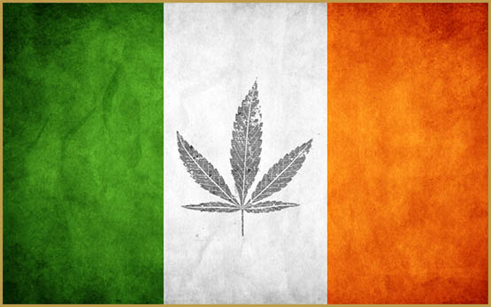 l irlande considère le cannabis médical 5