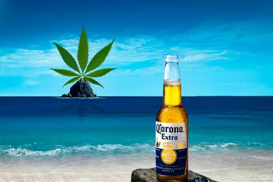 la corona se met à la marijuana 2