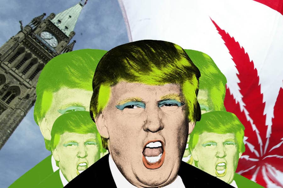 la présidence de trump favorise le marché canadien 6