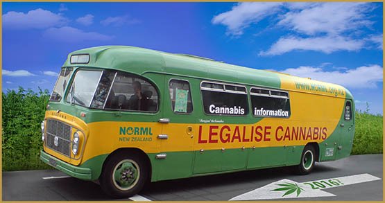 cannabis-in-new-zealand_4k-1