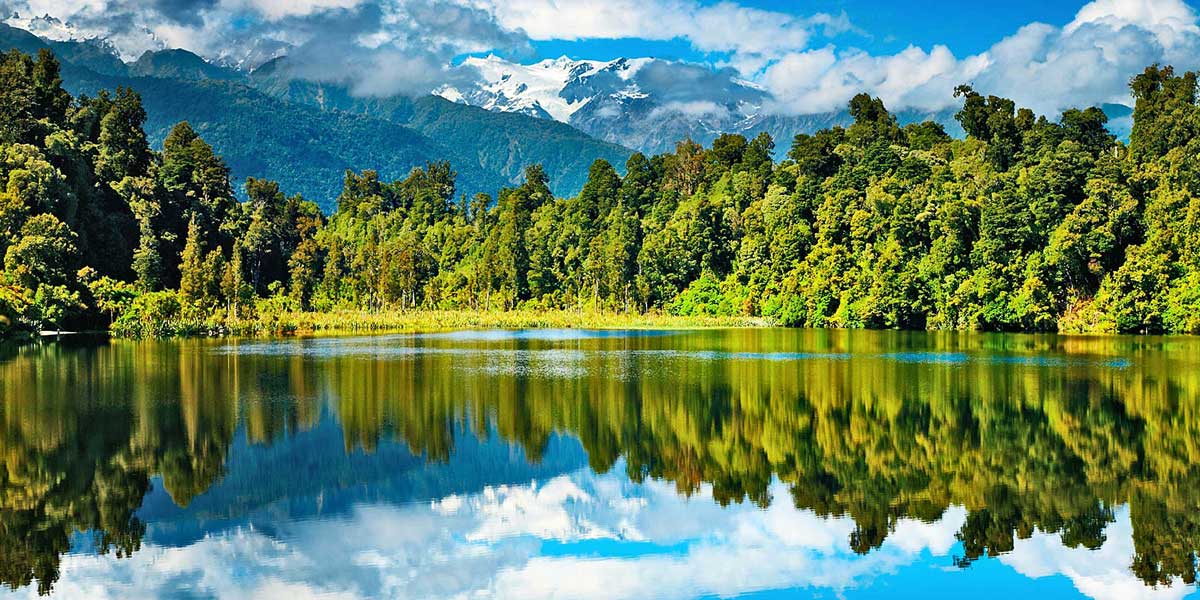 premiers essais cliniques du cbd en nouvelle zélande 6