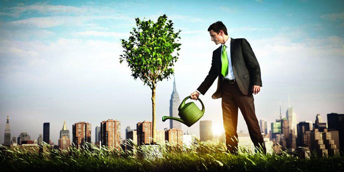 californie le nouvel el dorado du cannabis