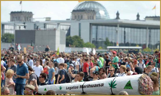 cinq choses à savoir sur la weed en allemagne 2