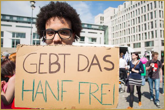 cinq choses à savoir sur la weed en allemagne 4