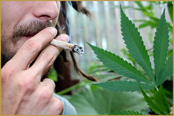 cinq choses à savoir sur la weed en allemagne 6