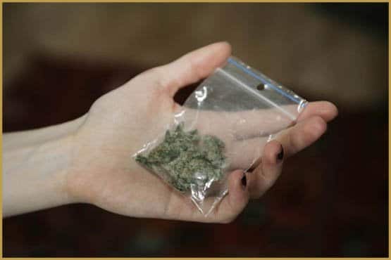 cinq choses à savoir sur la weed en allemagne 7