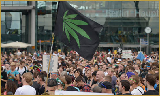 cinq choses à savoir sur la weed en allemagne