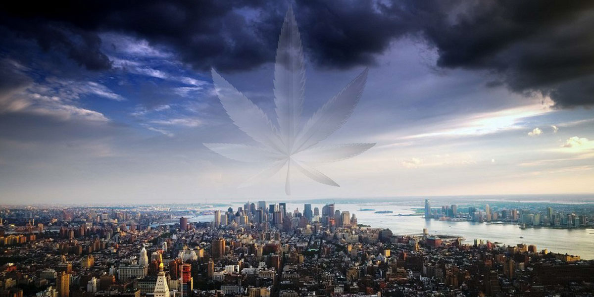 evolution du programme médical à new york au minnesota 7