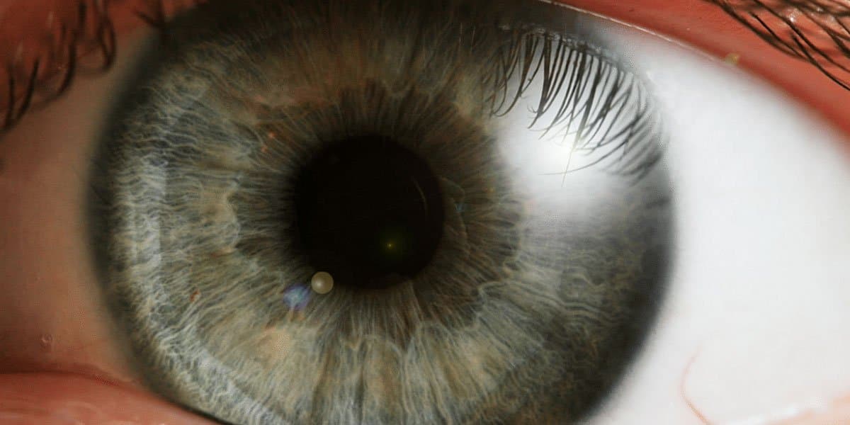 influence du cannabis sur la vision 12