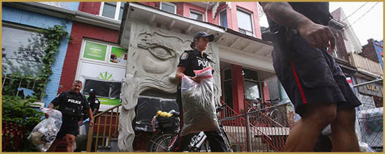 a-massive-toronto-police-raid-means-war-between-government-and-pot-dispensaries-1464289404