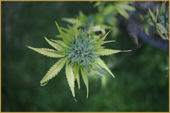 4687803938_ffcb9e6c14_b