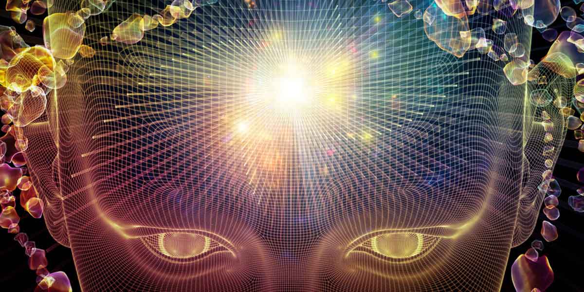 la psilocybine favorise la croissance de nouvelles cellules du cerveau 9