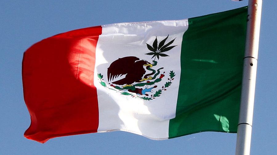 le sénat mexicain vote un projet de loi sur la marijuana médicale