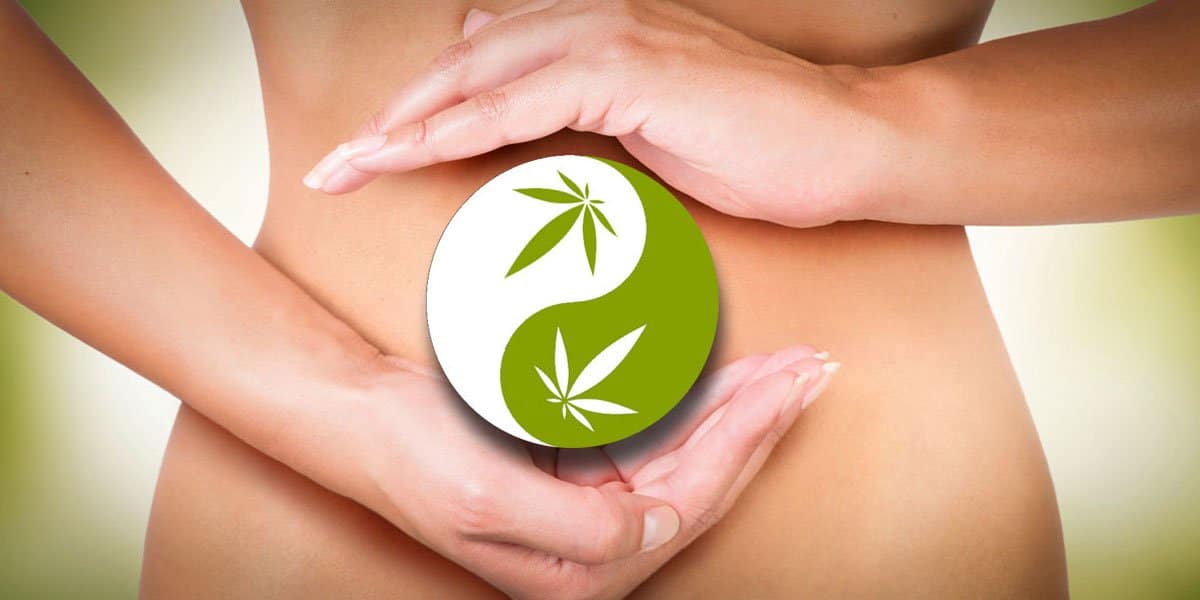 les cannabinoïdes jouent un rôle protecteur contre la colite 6