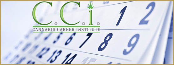 Les meilleures écoles de formation au cannabis