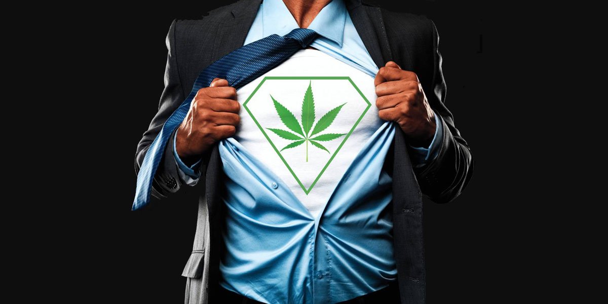 les meilleures écoles de formation au cannabis 8