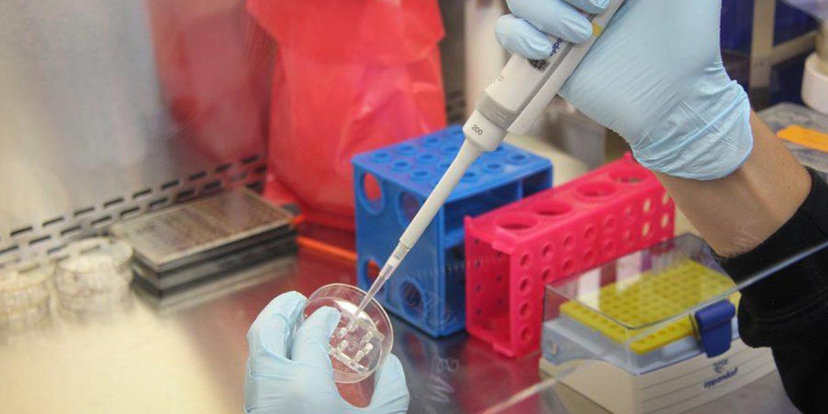 nouvelles souches éligibles pour la recherche scientifique