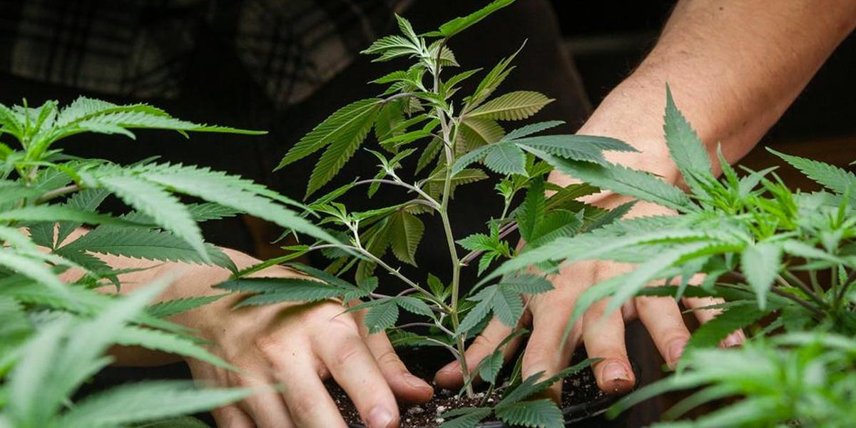 10 erreurs de débutant 13