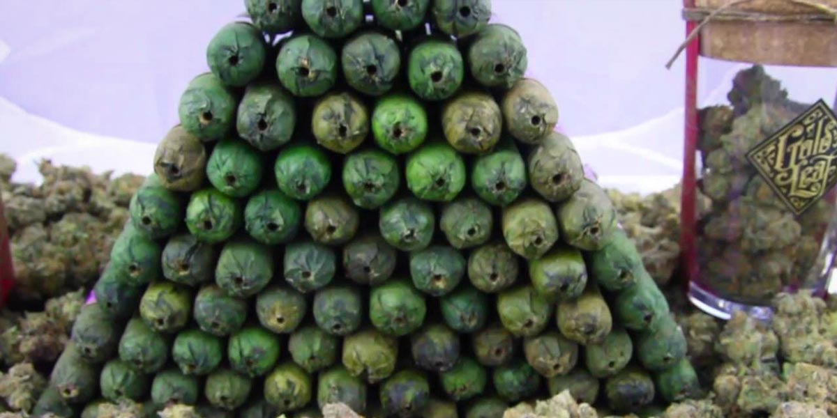 comment rouler un cigare de cannabis 10