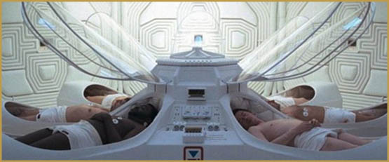 l herbe au secours de la nasa 4