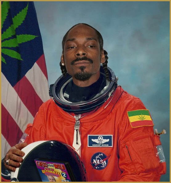 l herbe au secours de la nasa 6