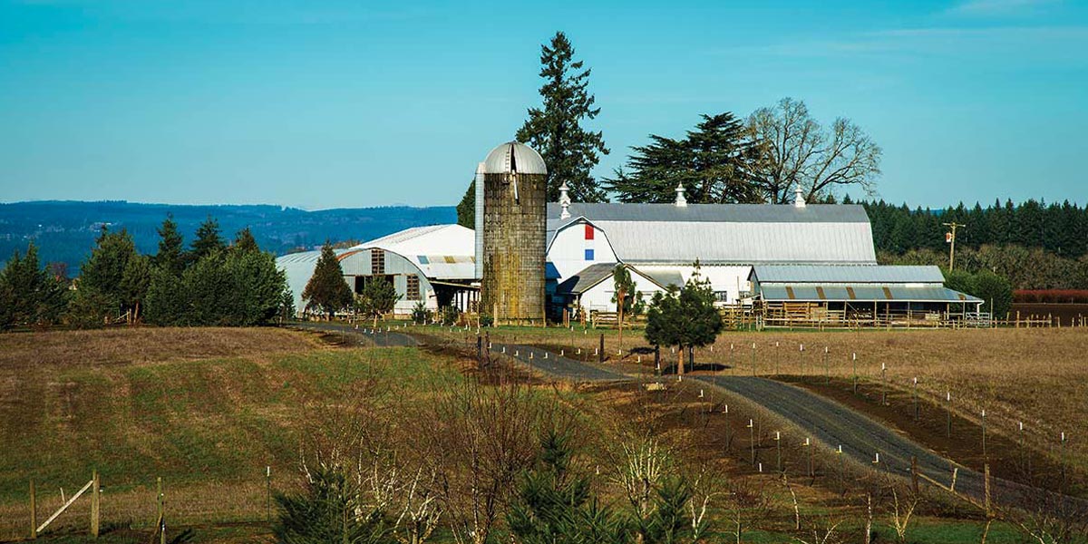 la ferme communautaire hifi 8