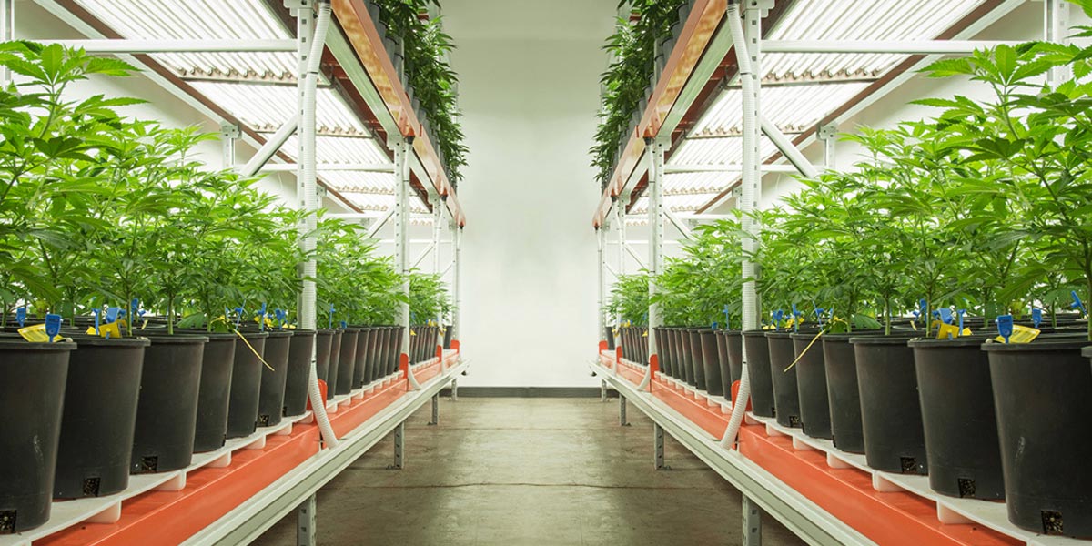 le système de culture multicouche mobile 5