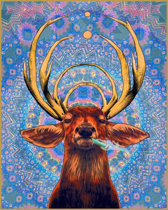 Des cerfs et chevreuils affamés de verdure