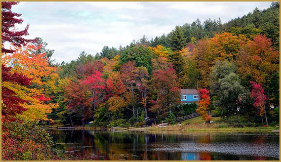 Du cannabis récréatif dans le Vermont en 2017