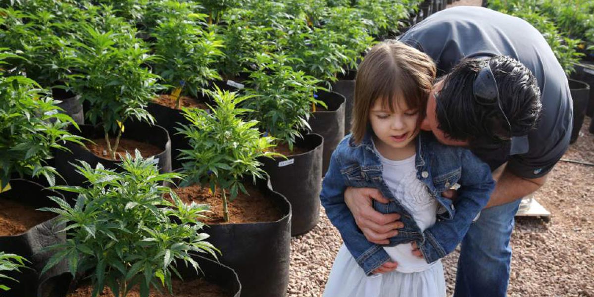 l exode vers les contrées du cannabis médical 8