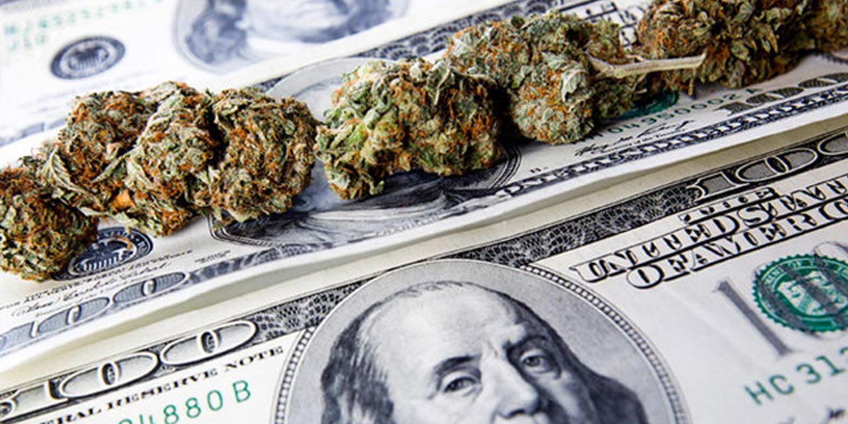 l herbe rapporte plus que facebook ou google 7