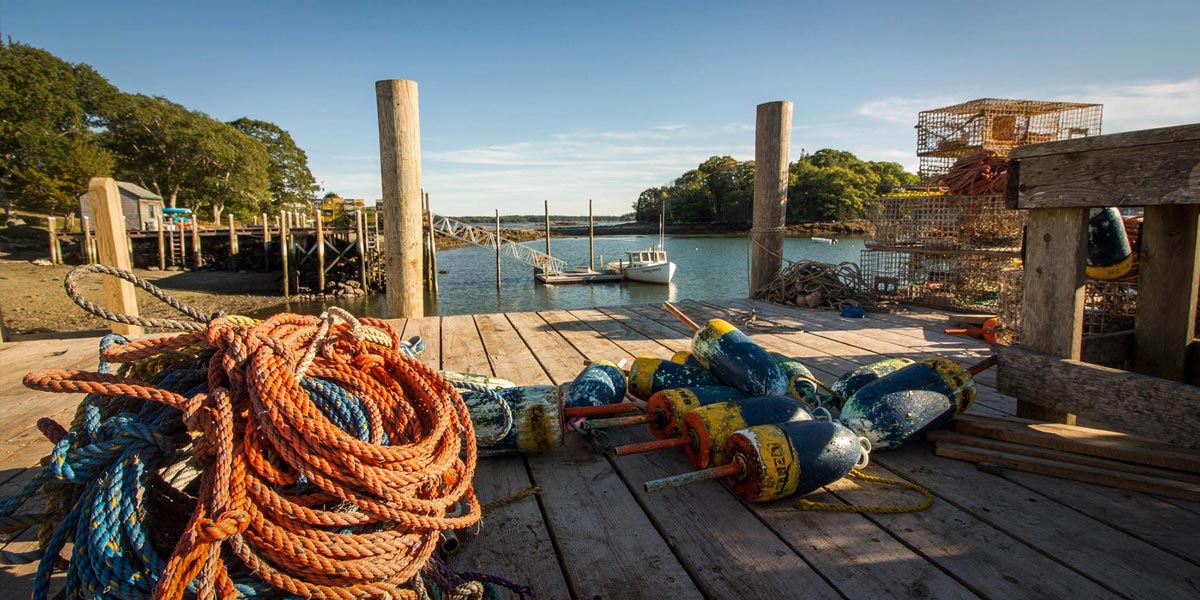 la légalisation prend son essor dans le maine 7