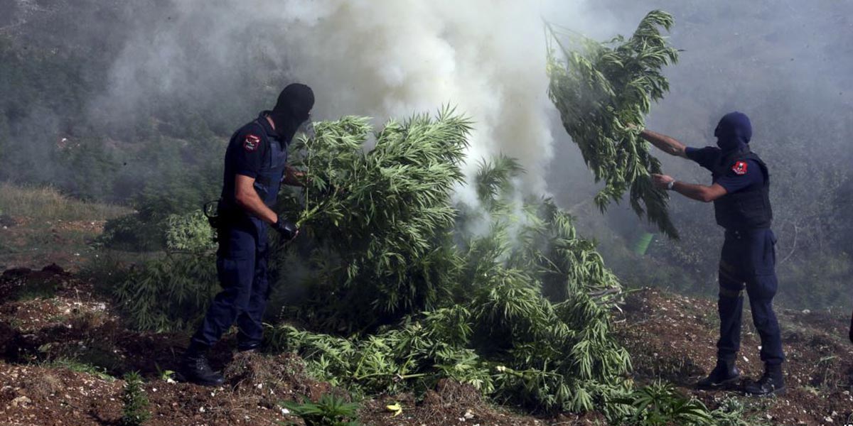 le trafic albanais inquiète l italie