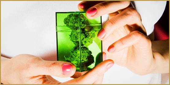 top-model,Green Angels,Rihanna,dealer,modèles