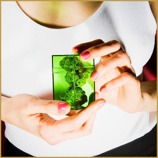 top-model,Green Angels,Rihanna,dealer,modèles