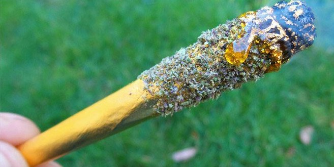 Des buds colorés sur Instagram