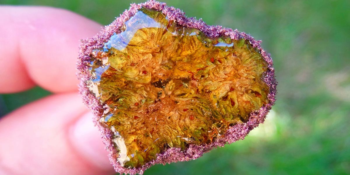 des buds colorés sur instagram 21