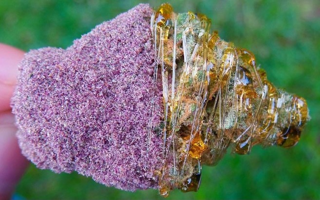 Des buds colorés sur Instagram