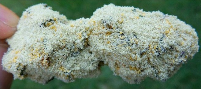 Des buds colorés sur Instagram