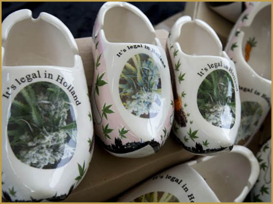 Drug Policy Alliance,politique du cannabis