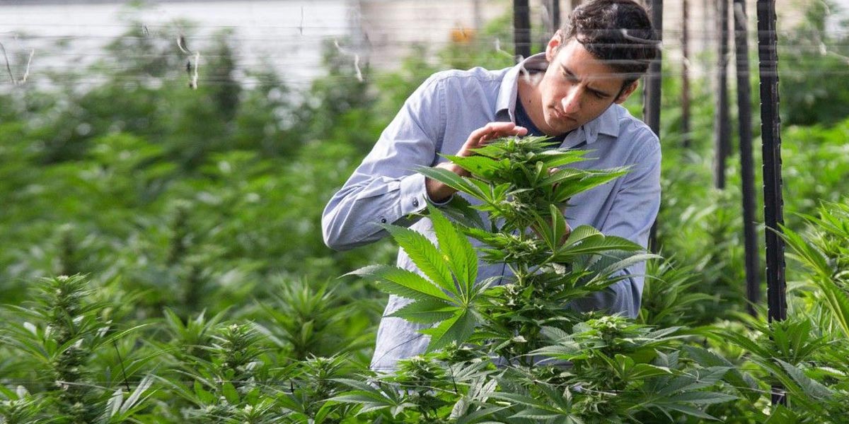 la société israélienne panaxia s installe aux us 7