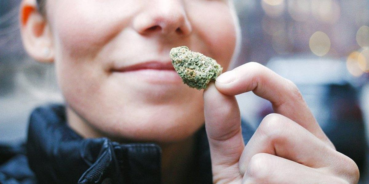 le cannabis contre les nausées 10