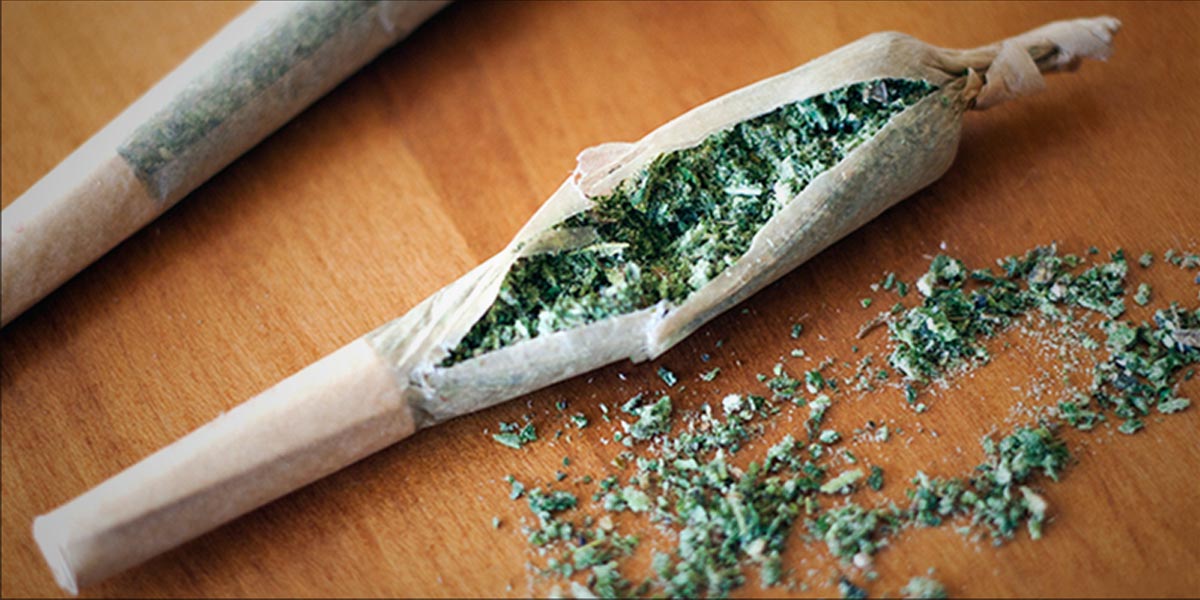 le shake ou les restes de cannabis 6