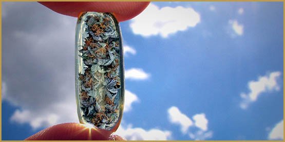 Le suppositoire au cannabis